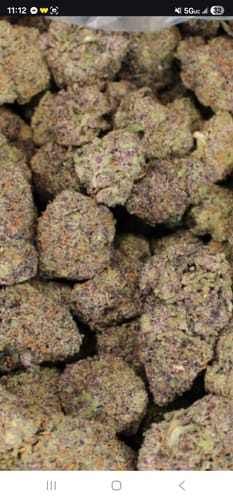 Customer photo review of Candy Gas THCA Flower