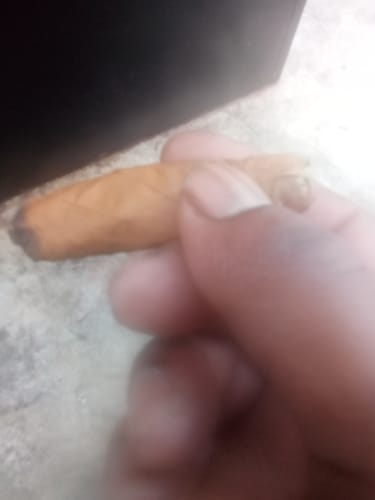 Customer photo review of Blue Punch - Bulk - Indica