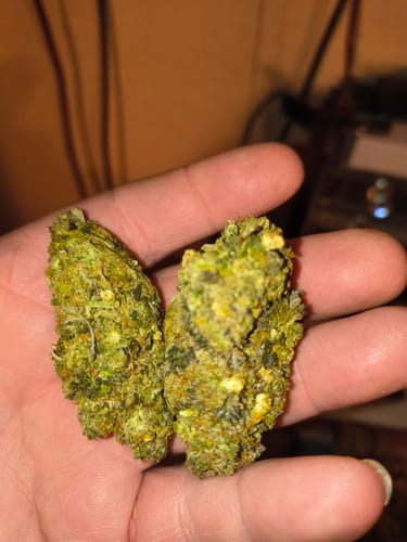 Customer photo review of Toad Venom THCA Flower