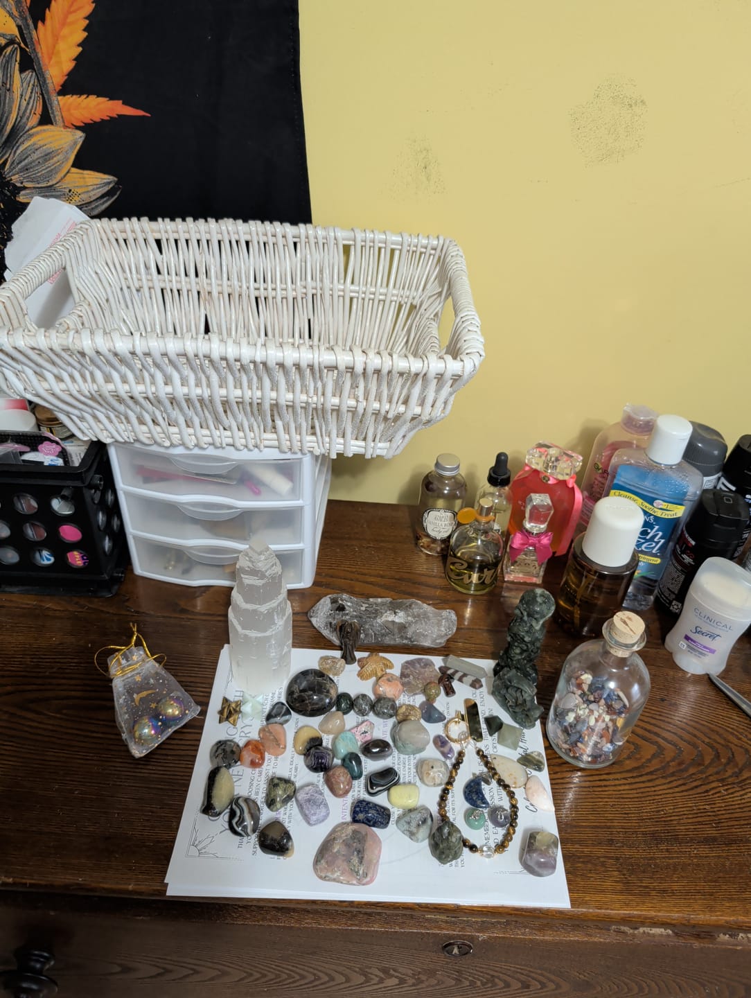 Customer photo review of ♏ Scorpio Zodiac Scoop