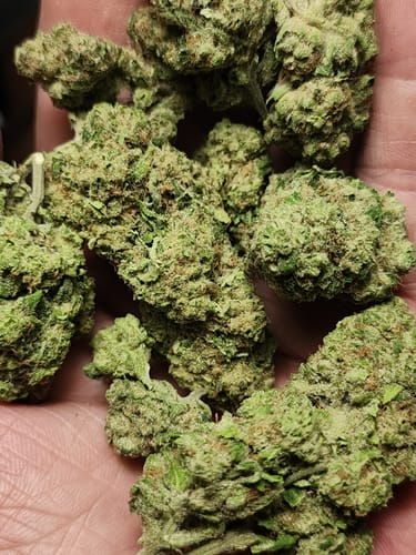Customer photo review of Lemon Gas Mask Light Assist THCA