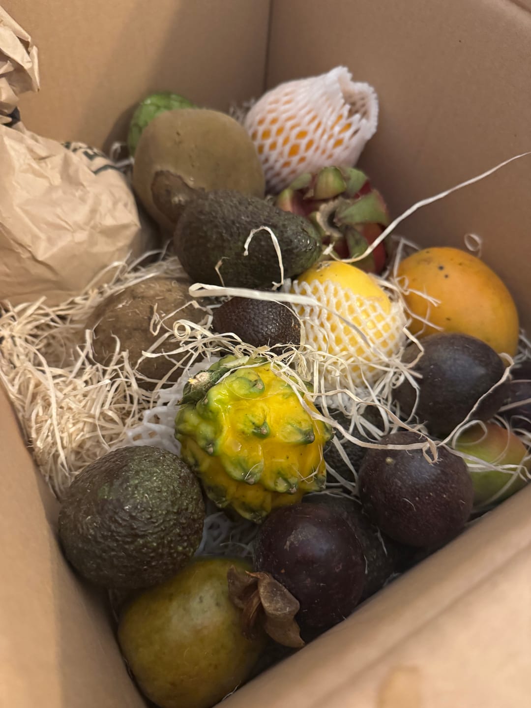 Customer photo review of Tropen-Weltreise Exotenbox