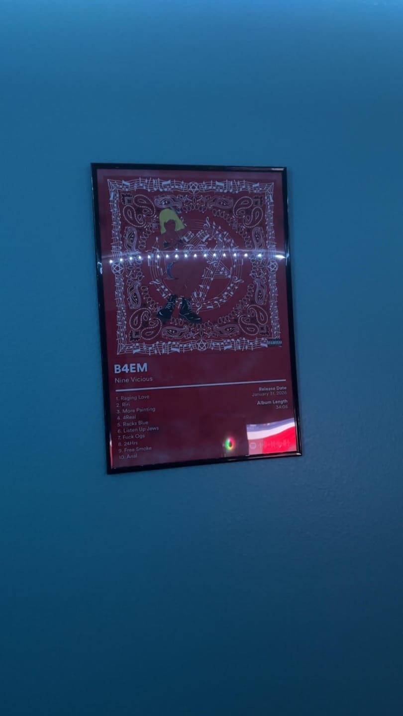 Customer photo review of Nine Vicious Album Posters