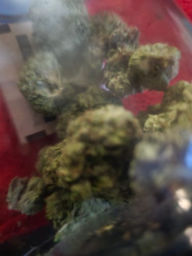 Customer photo review of Jet Fuel Gelato