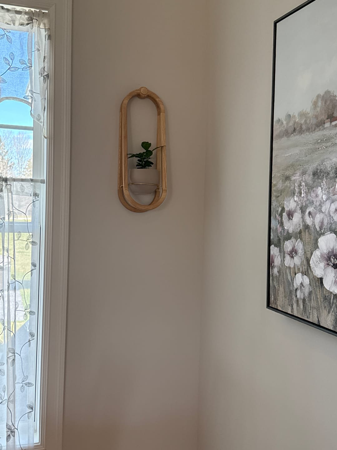 Customer photo review of Frame Wall Planter + Pot