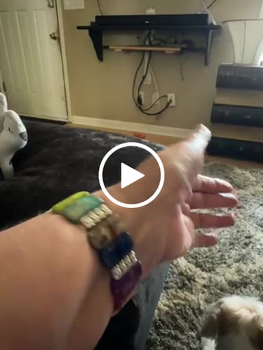 Customer video review of Chic Chakra Stretch Apple Watch Strap