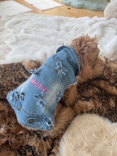 Customer photo review of Denim Bow Vest