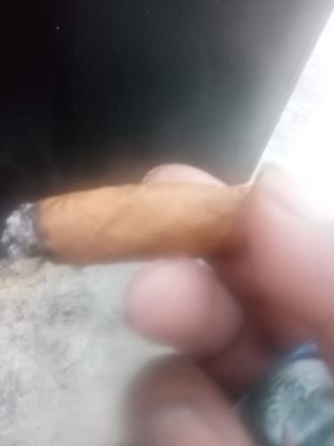 Customer photo review of Shipping Protection by Route