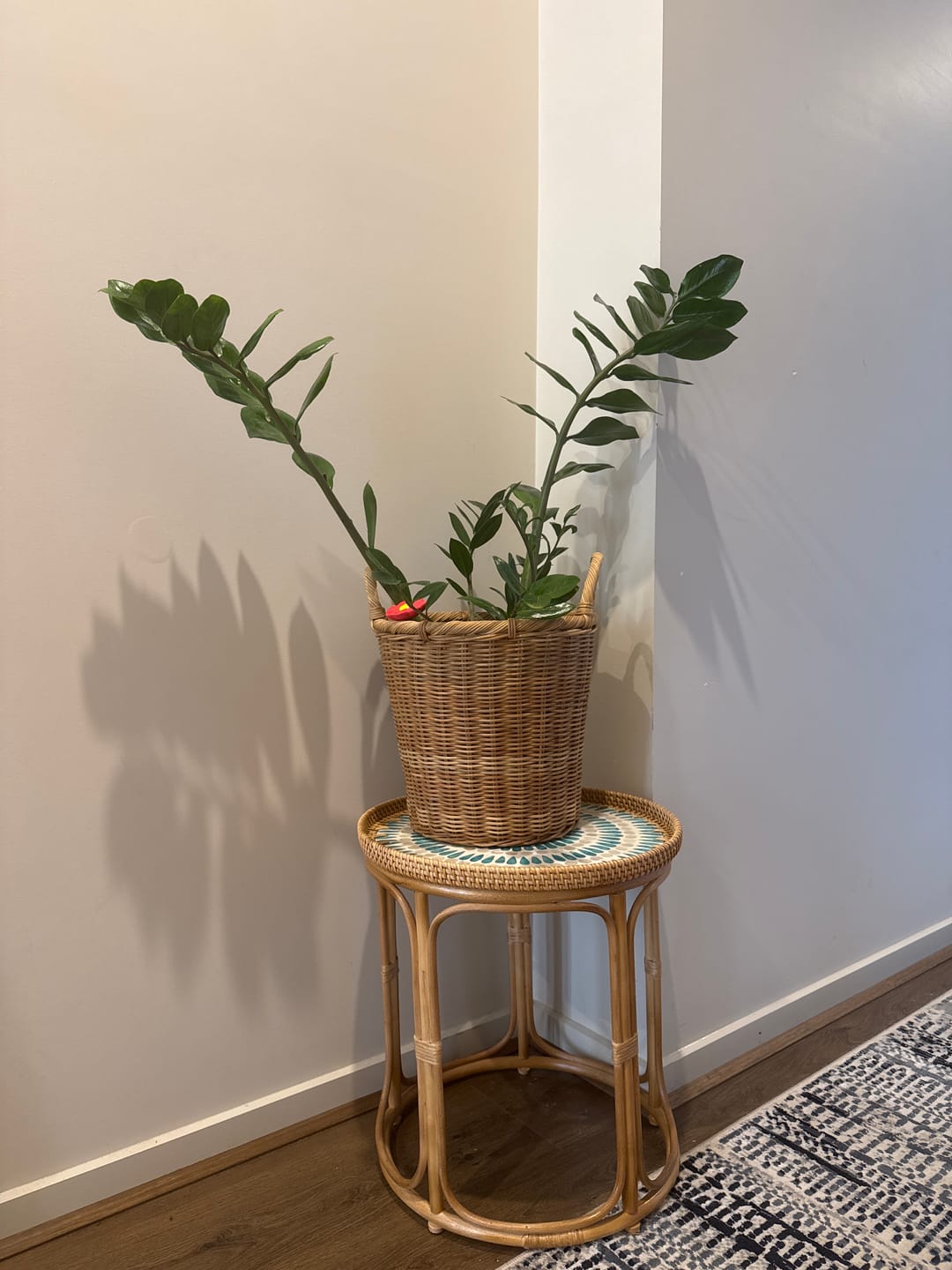 Customer photo review of Serene Rattan Table Set