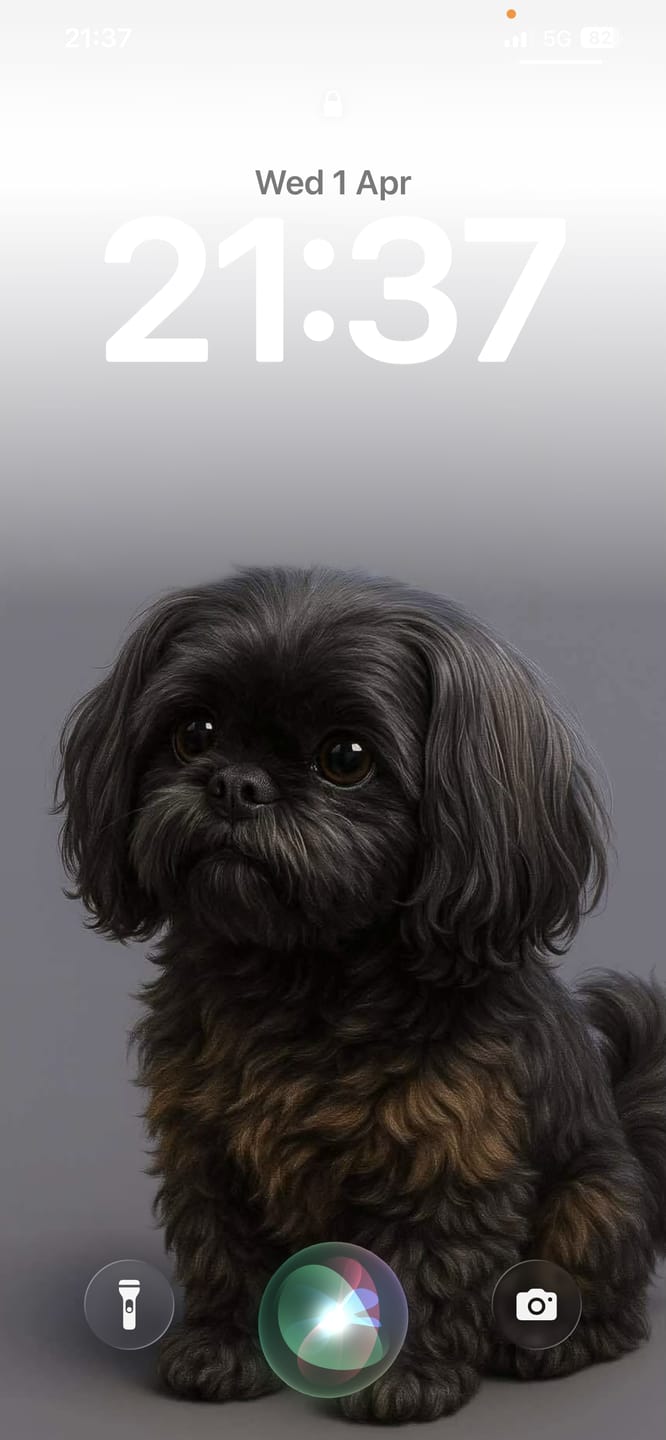 Customer photo review of GroomMate Pet Grooming Kit