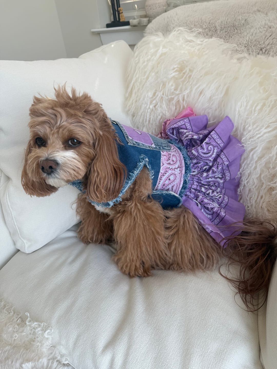 Customer photo review of Bandana Denim Dress