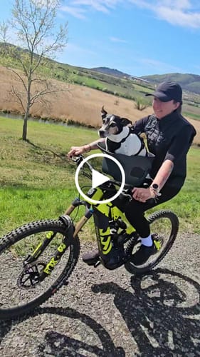 Customer video review of Kvisp Dog Bike Carrier