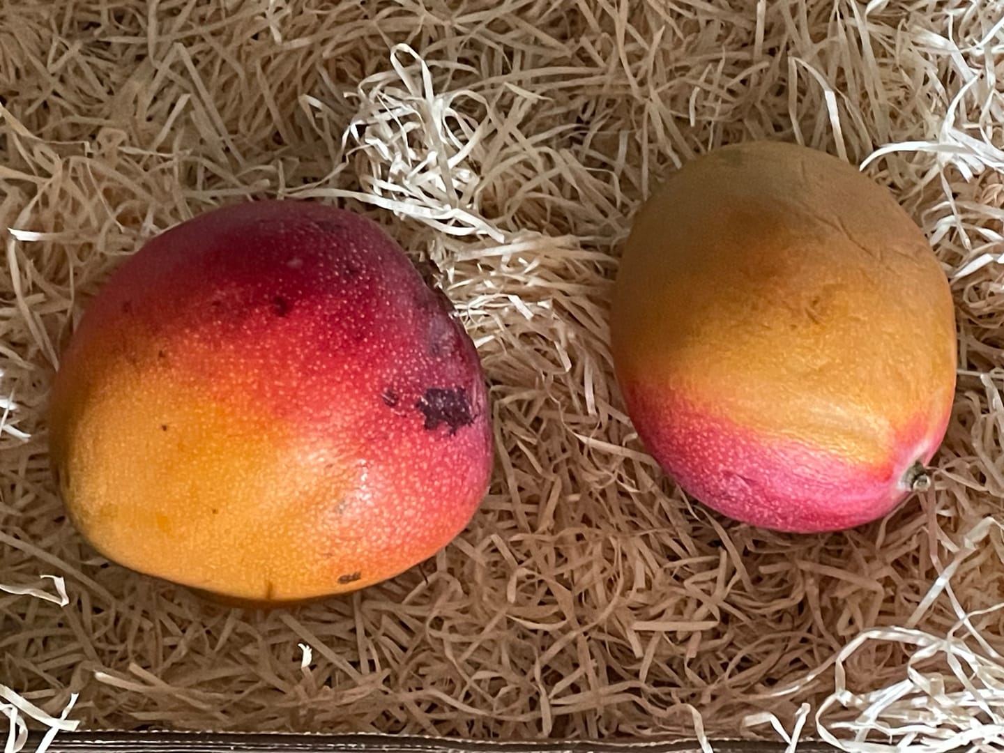 Customer photo review of Mango-Trio Mix-Box 2kg Sonderaktion %