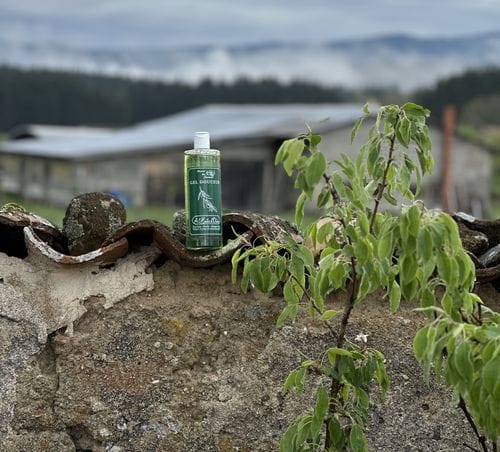 Customer photo review of Gel Douche à l'Huile d'Olive 500ml