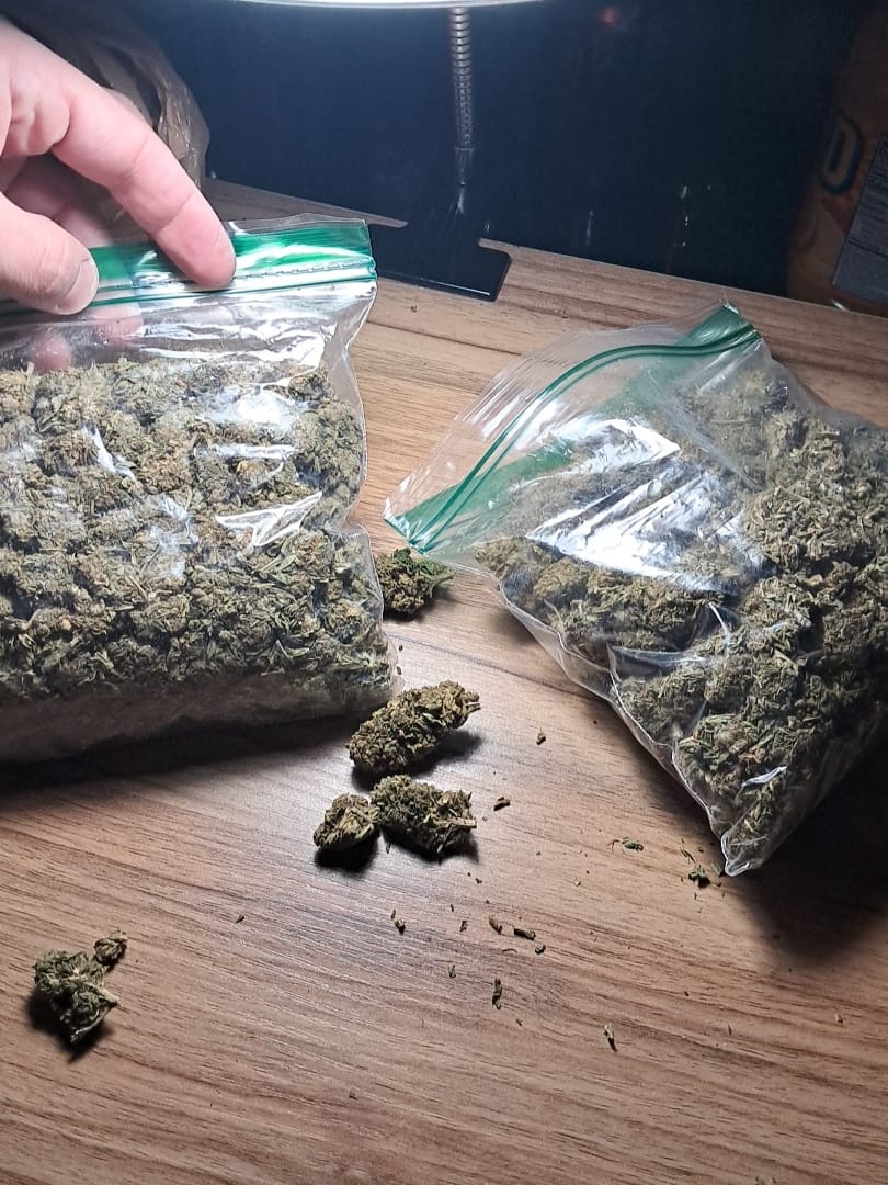 Customer photo review of Maui Wowie Minis - Bulk Minis - Sativa