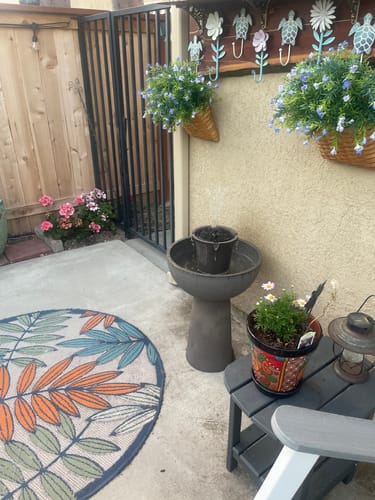 Customer photo review of Alba Cordless Fountain