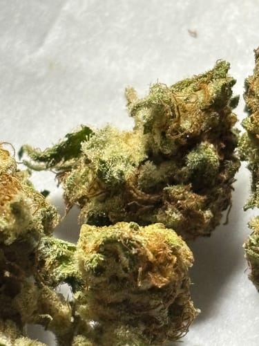 Customer photo review of Wedding Cake - 28 Grams Littles - Indica