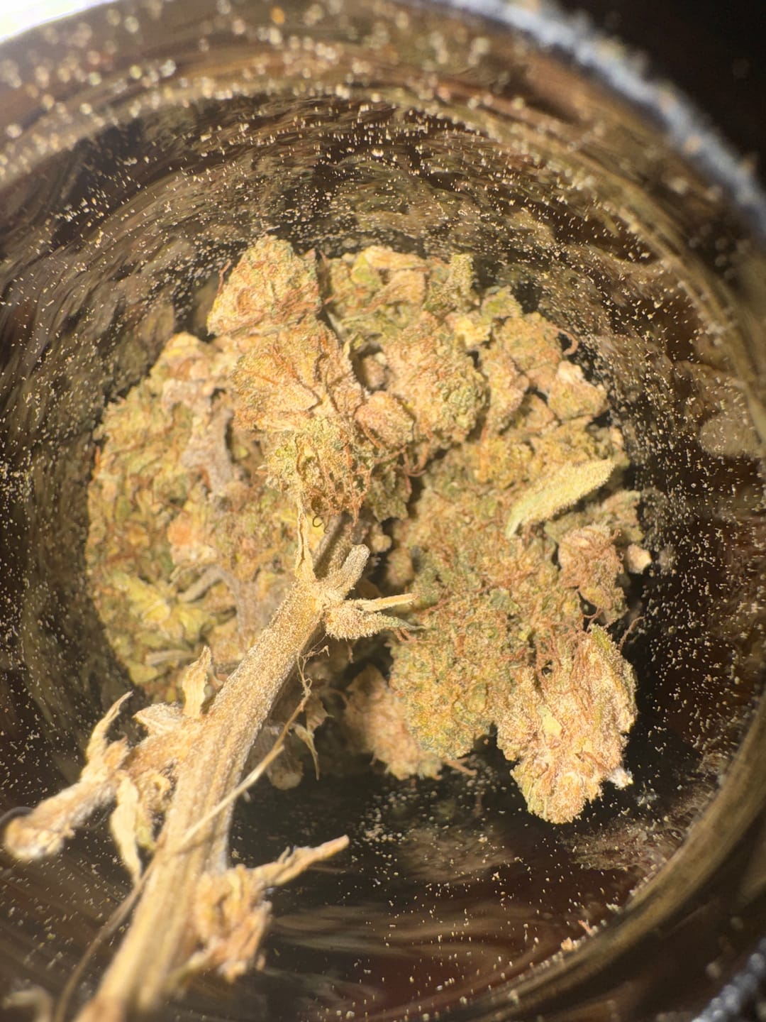 Customer photo review of DICHT3R - 40% Superior Blüten - Grow-Rilla Glue