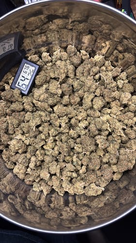 Strawberry Gelato - Großgebinde - Hybrid photo review