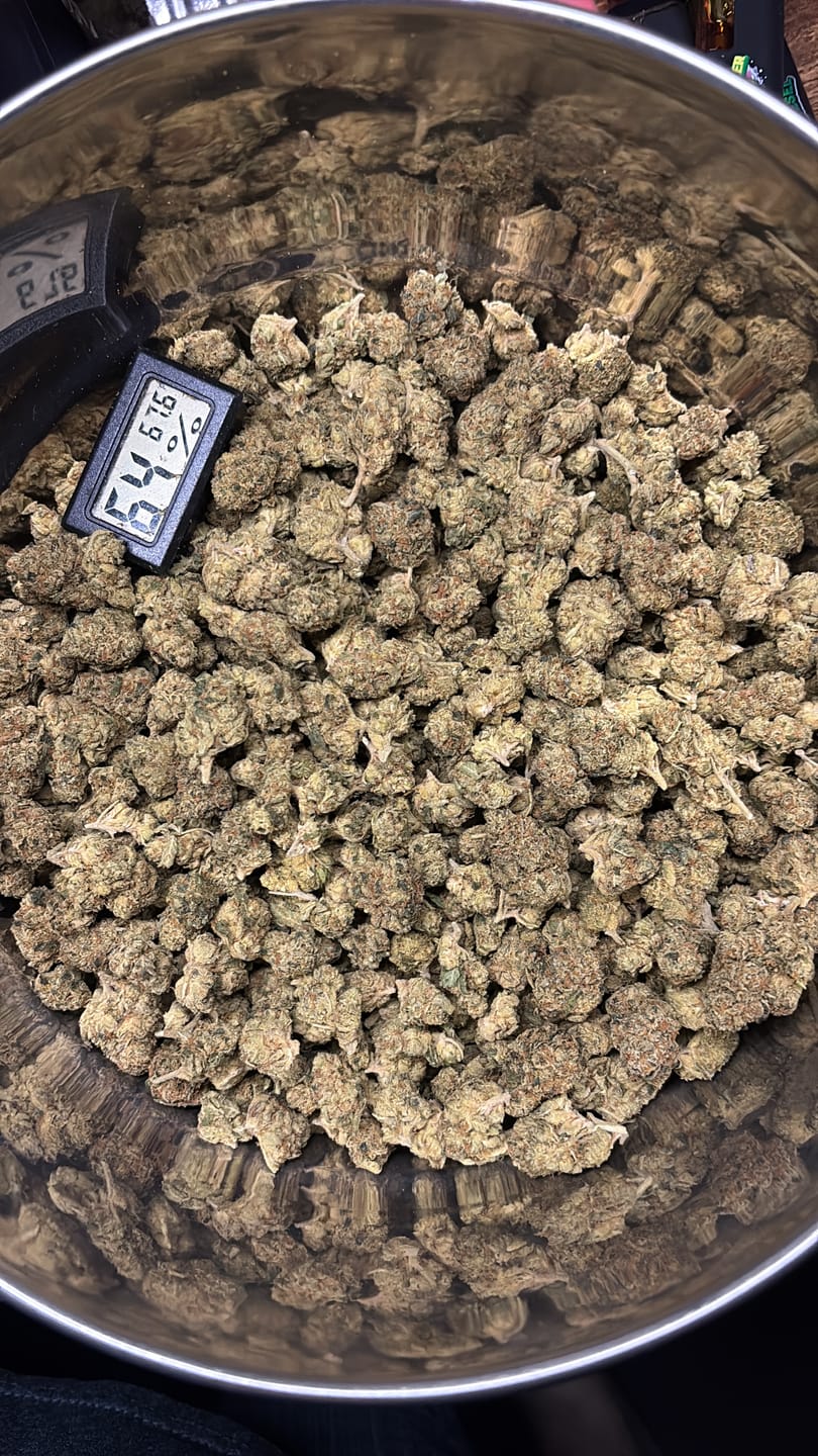 Customer photo review of Strawberry Gelato - Bulk - Hybrid