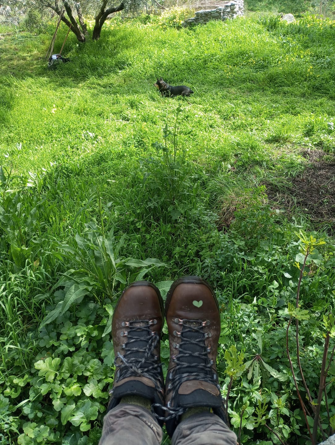 Customer photo review of Arti Hiker Boots