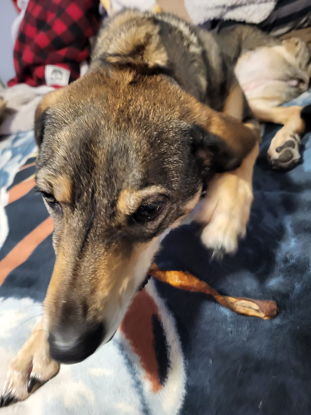 Customer photo review of Trail Mix