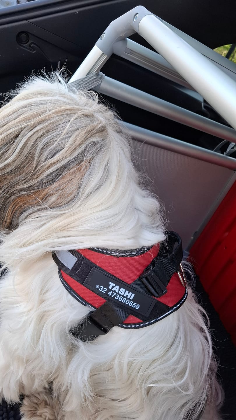 Customer photo review of PawGuard - Gepersonaliseerd Hondentuigje