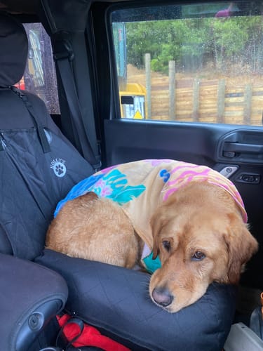 Customer photo review of Car Seat Cover