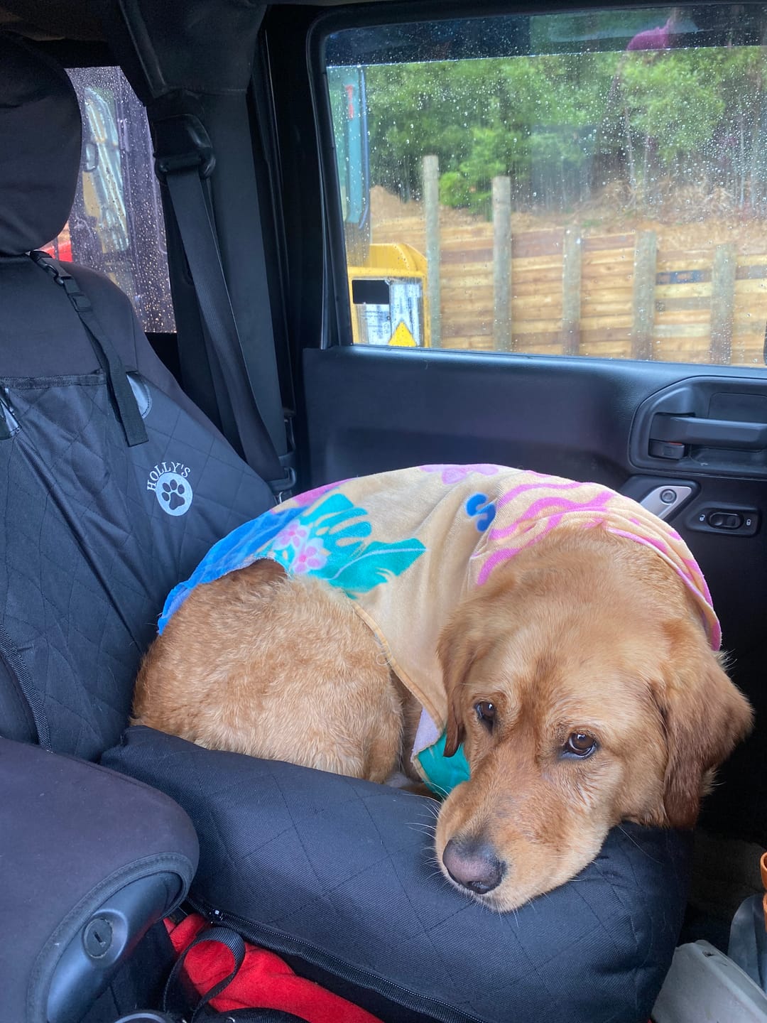 Customer photo review of Car Seat Cover