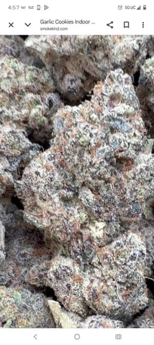 Chocolate Diesel Minis - Bulk Minis - Sativa photo review