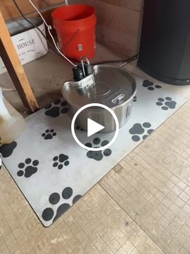 Customer video review of Pawdrate™ Filtered Water Fountain (Battery Version)