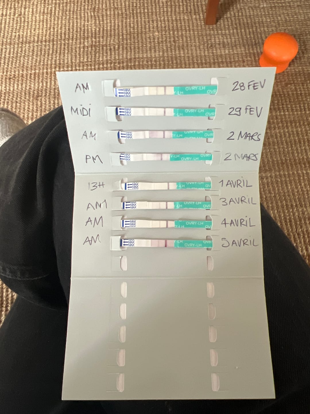 Customer photo review of Ovulation Test Strips