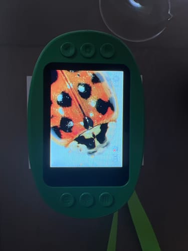 Ein Kunde zeigt das grüne Edubini Abenteuer-Mikroskop in Aktion, das eine Nahaufnahme eines Marienkäfers auf dem Bildschirm anzeigt.