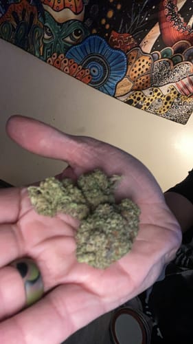 Customer photo review of Gelato #45 THCA Flower