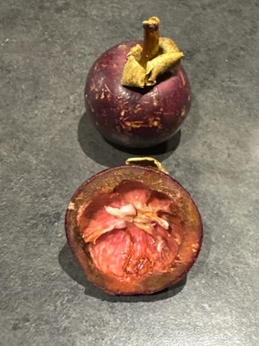 Ein Kunde zeigt eine ganze und eine aufgeschnittene Mangostan, die innen stark verharzt aussieht.