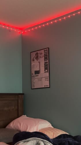 Customer photo review of Nine Vicious Album Posters