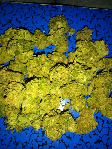 Customer photo review of White Widow - 28 Grams - Hybrid