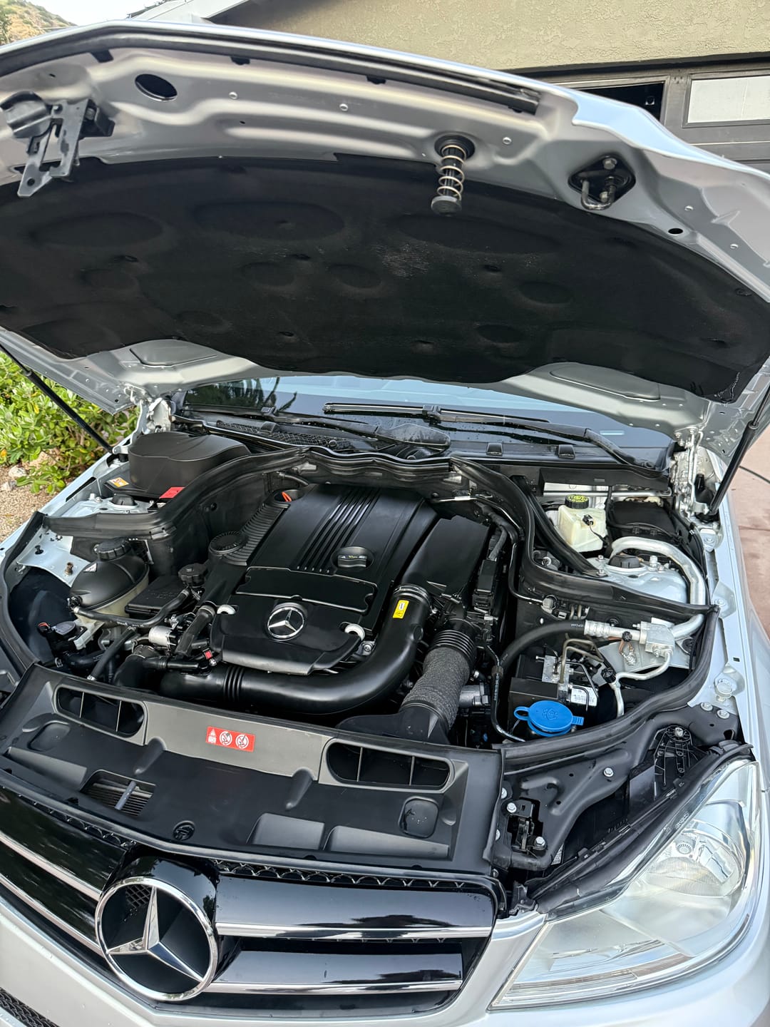 Customer photo review of Clean 'n Shine - Gallon