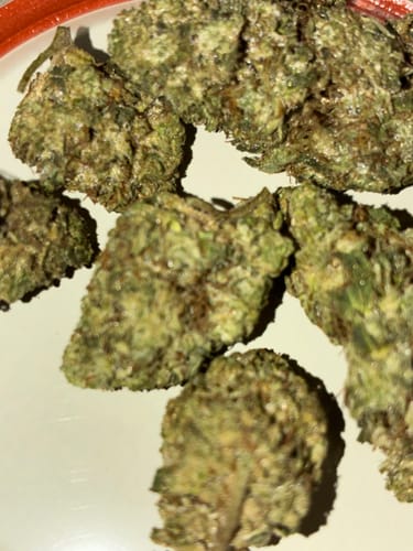 Customer photo review of Cheap THCA Flower Quarter Pound