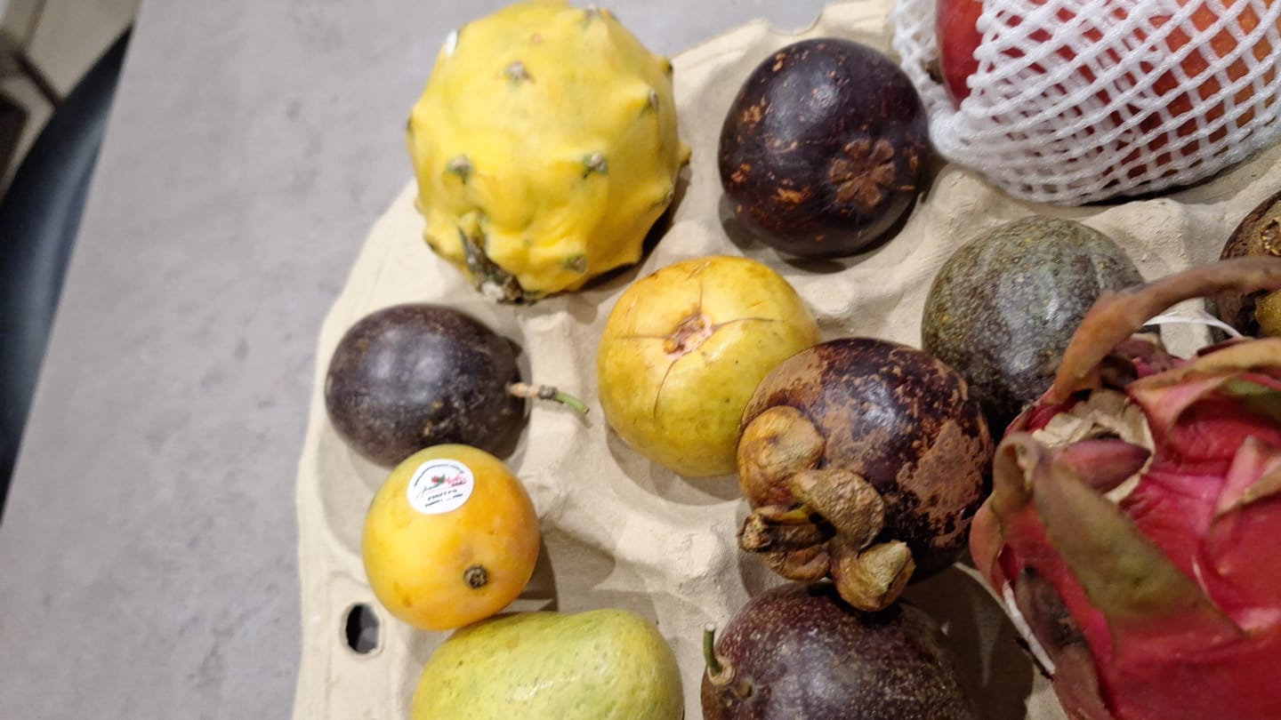 Customer photo review of Goldene Drachenfrucht  groß 1 Stk.
