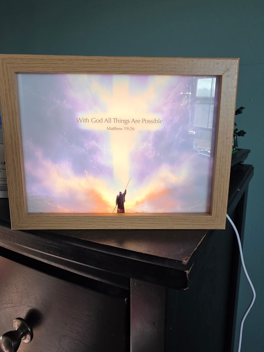 Customer photo review of Shipping Protection