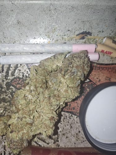 Customer photo review of Bulk THCA Flower Pounds