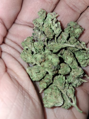 Customer photo review of Bulk THCA Smalls