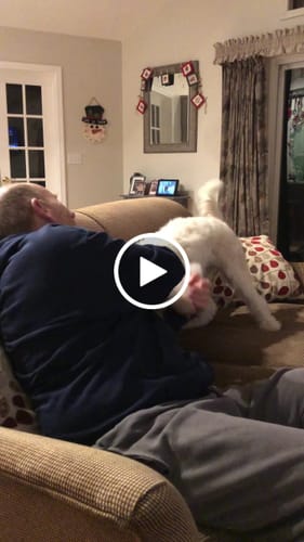 Customer video review of Squeaky Gems