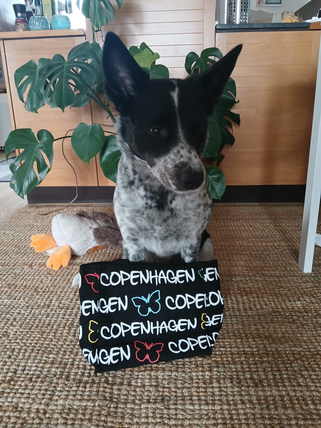 Customer photo review of Copenhagen Shopper Tote Bag - Small