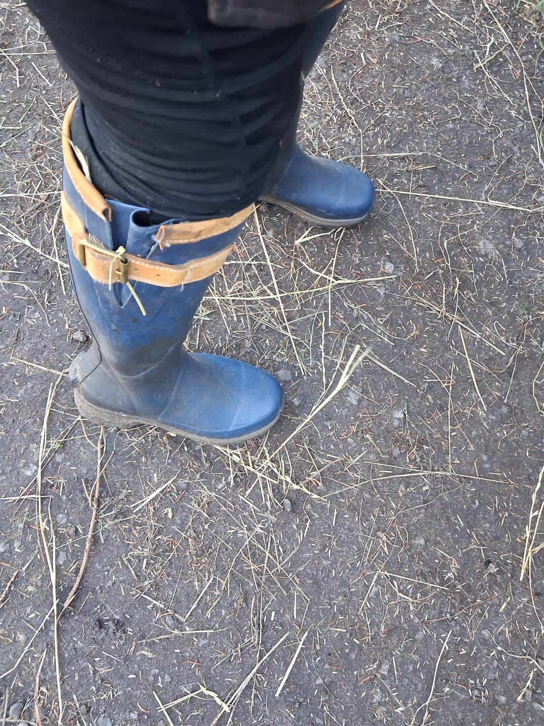 Customer photo review of Stratus Wellingtons Blue