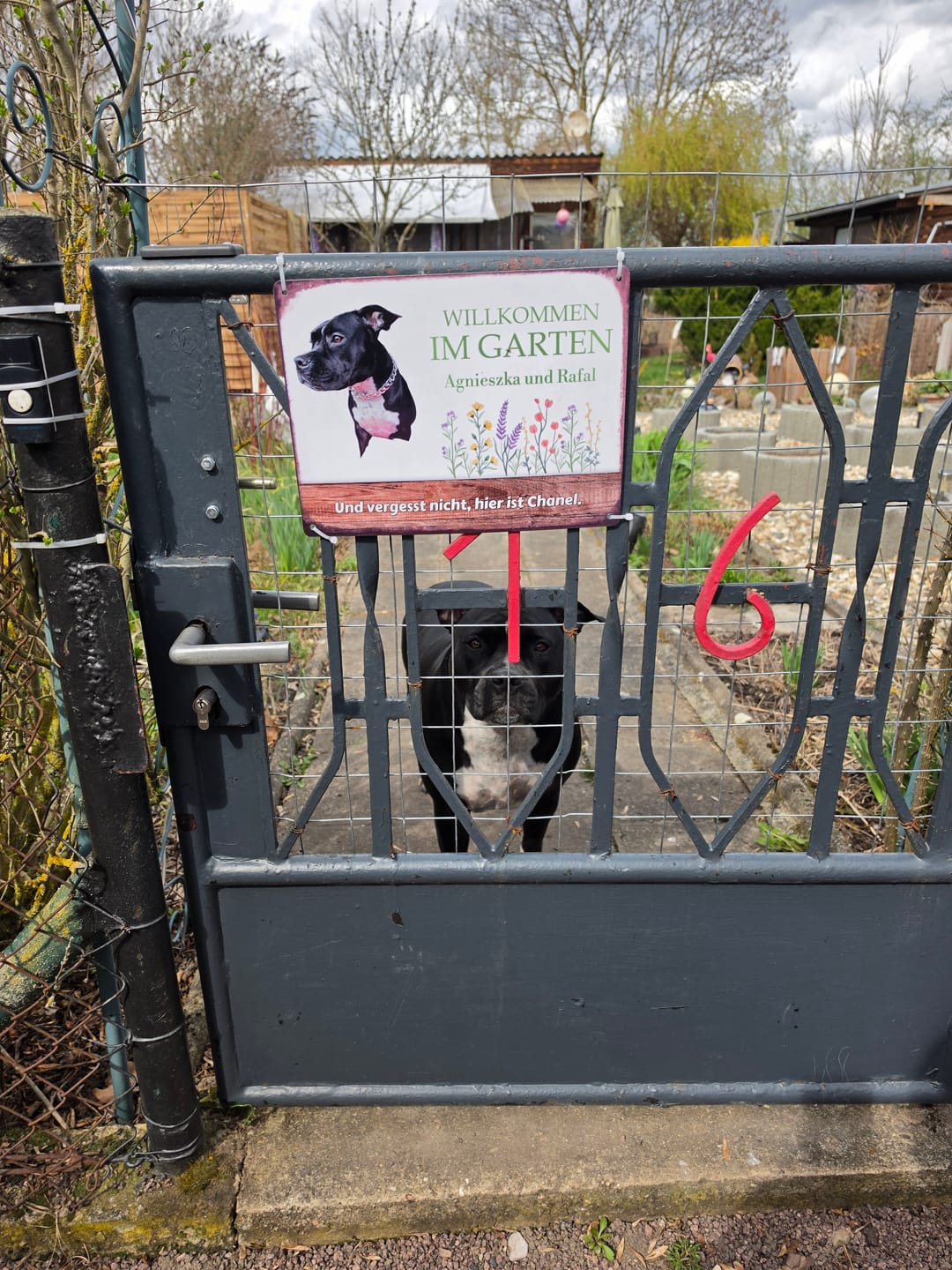 Customer photo review of Hunde Garten-Schild personalisiert mit Foto & Text (UV- und wetterfest)