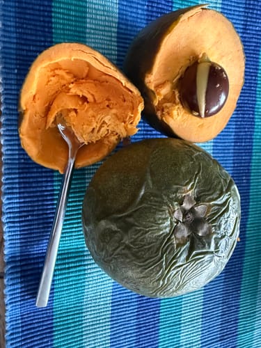 Kundenbild von ganzen und aufgeschnittenen Lucuma-Früchten, eine mit einem Löffel im weichen, orangen Fruchtfleisch.