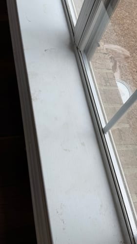 Customer photo review of Worry-Free Purchase