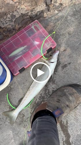 Customer video review of Anti-Glare Screen Protector